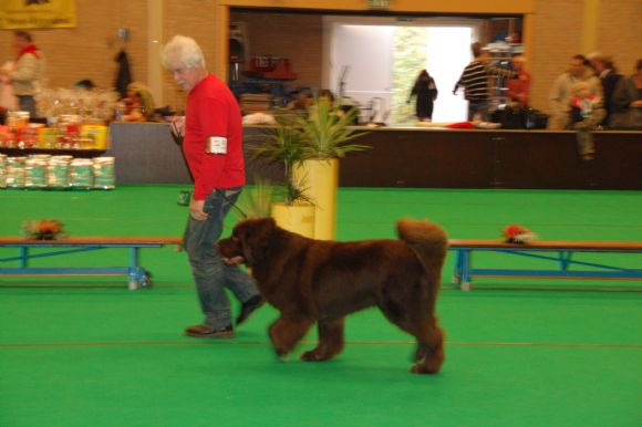 T Chima v.'t Stolzhof (17-08-2006)